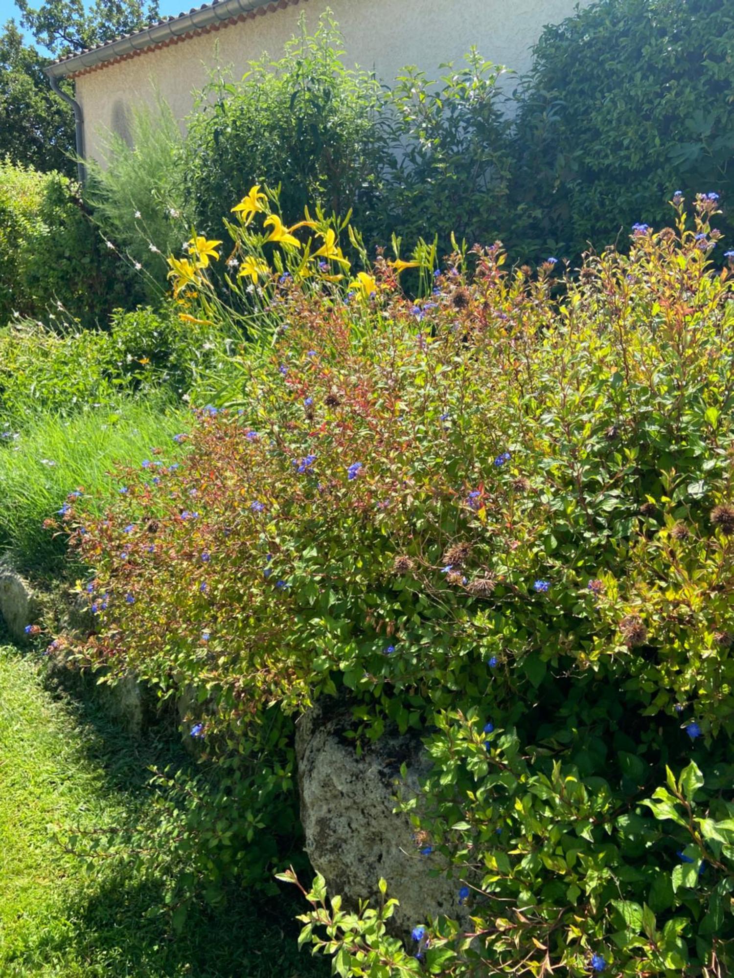 Paradis Provencal Villa - Espace Detente Et Bbq Lmv Carpentras Exterior foto